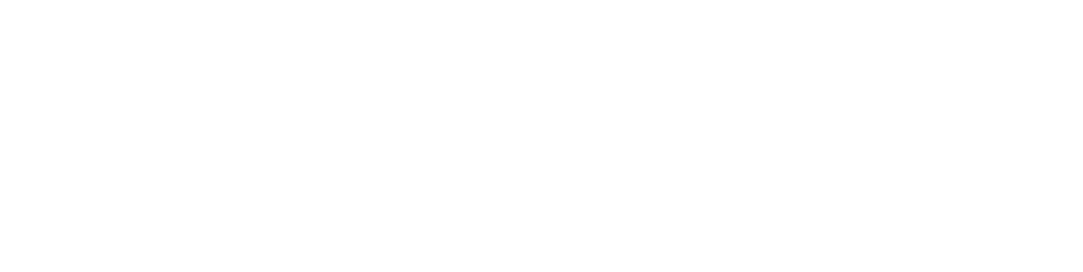 Reelview Fishing Logo